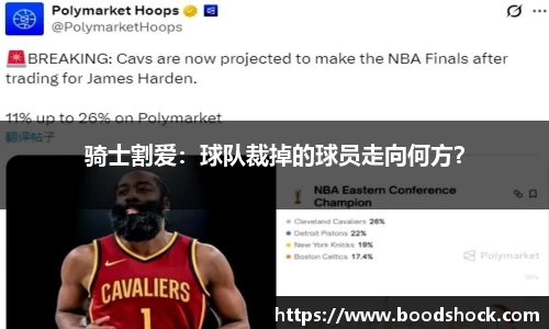 骑士割爱：球队裁掉的球员走向何方？